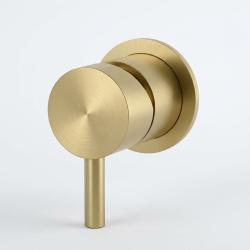 aquanello-eternal-gold-pvd-flush-mount-shower-faucet